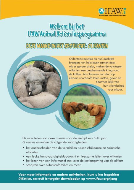 Olifant miniles 5-8 jaar - International Fund for Animal Welfare