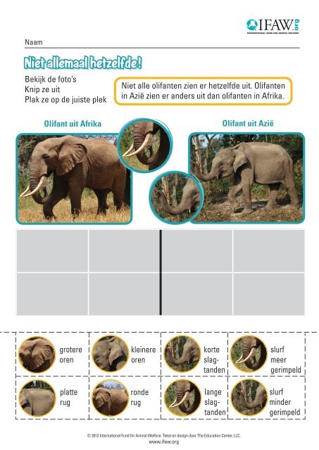 Olifant miniles 5-8 jaar - International Fund for Animal Welfare