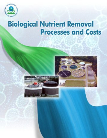 Biological Nutrient Removal Processes and Costs - State of New ...