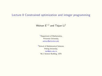 Lecture 8 Constrained optimization and integer programming