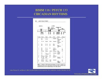 CIRCADIAN RHYTHMS BIMM 116 / PSYCH 133