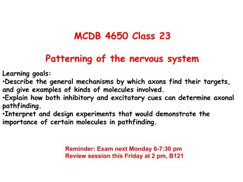 ppt slides - MCD Biology