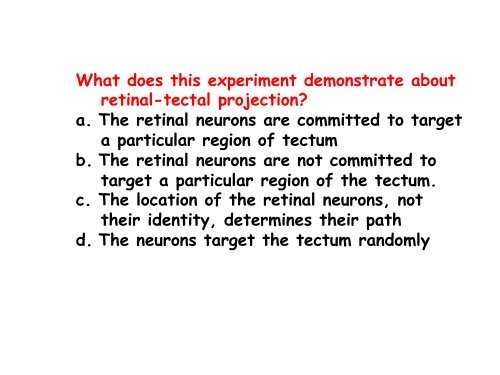 ppt slides - MCD Biology