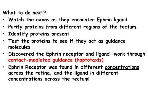 ppt slides - MCD Biology