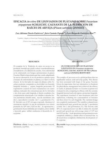 EFICACIA in-vitro DE LIXIVIADOS DE PLÁTANO SOBRE Fusarium ...