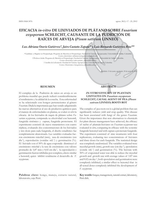 EFICACIA in-vitro DE LIXIVIADOS DE PLÁTANO SOBRE Fusarium ...