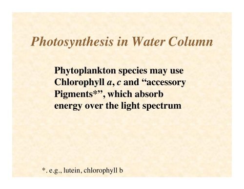 9 Critical Factors in Plankton Abundance