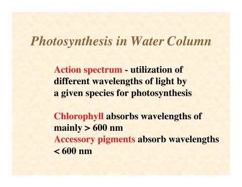 9 Critical Factors in Plankton Abundance