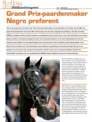 Grand Prix-paardenmaker Negro preferent