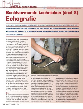 2008-16 Beeldvormende technieken deel 2; Echografie