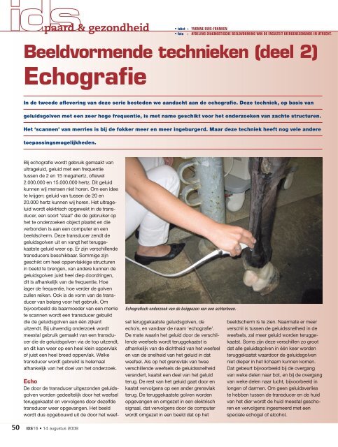 2008-16 Beeldvormende technieken deel 2; Echografie