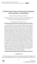 A Preliminary Study of the Burgers Equation with Symbolic ...