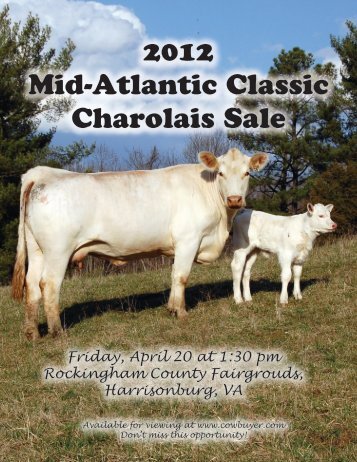 2012 Mid-Atlantic Classic Charolais Sale - Cowbuyer