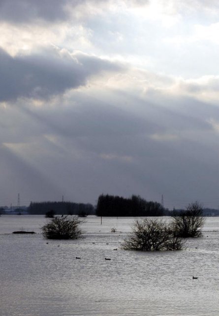 Terra - Natuur en Milieu - Stichting Natuur en Milieu