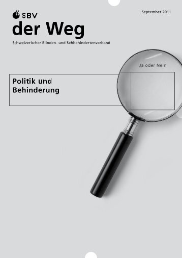 "Politik und Behinderung" im PDF-Format - Schweizerischer Blinden ...