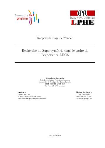 PDF file: 1 Mbytes - Laboratoire de Physique des Hautes Energies ...