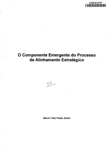 O Componente Emergente do Processo de Alinhamento Estratégico