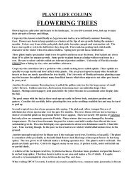 Flowering Trees - Osceola County Extension - University of Florida