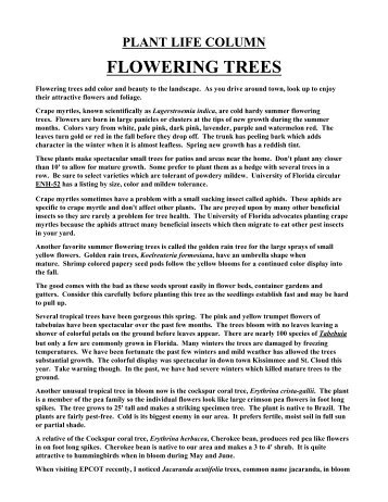 Flowering Trees - Osceola County Extension - University of Florida