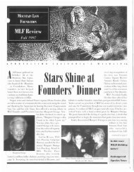 1997 Fall - Mountain Lion Foundation