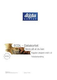 Fagplan for Datakortet Ekspert - Datakortet as