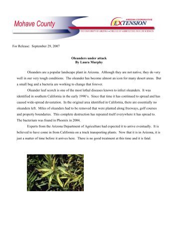 Oleander Leaf Scorch - College of Agriculture and Life Sciences ...
