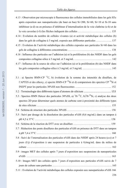 Comportement des nanoparticules de silice en milieu biologique ...