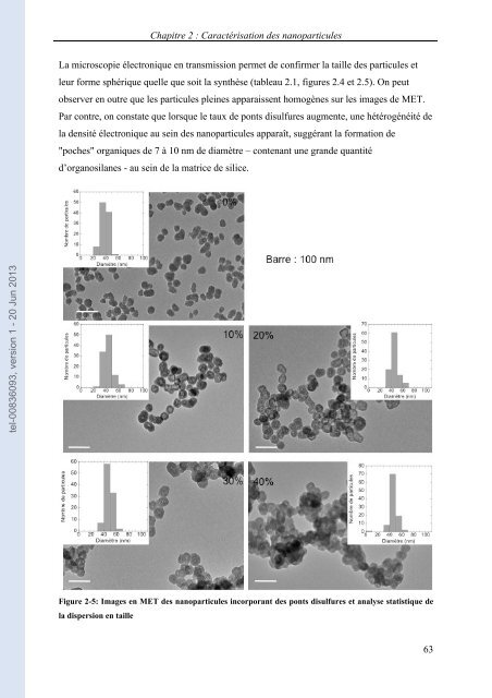 Comportement des nanoparticules de silice en milieu biologique ...