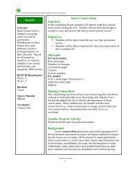 Insect Conservation Summary Objectives Materials Making ...