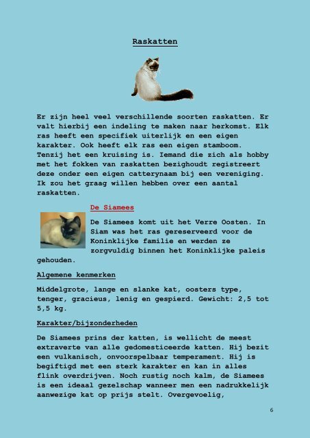 KATTEN - Kpn