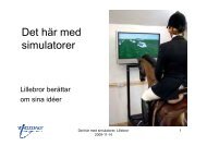 UTB/ Använda segelflygsimulator i grundutbildning