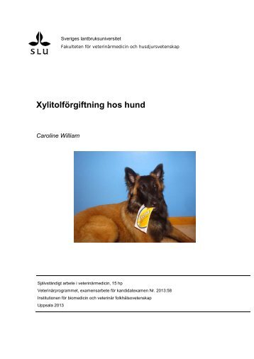 Xylitolförgiftning hos hund - SLU