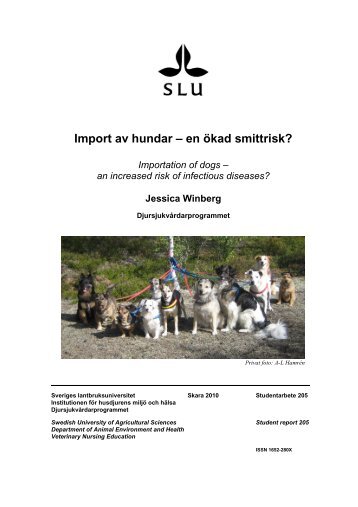 Import av hundar - en ökad smittrisk? - SLU