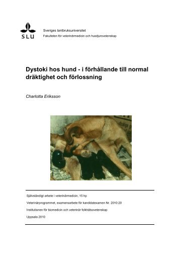 Dystoki hos hund - i förhållande till normal dräktighet och ... - SLU