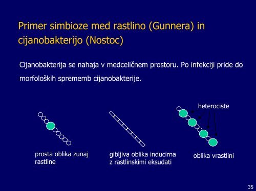 Interakcije med mikrobi in rastlinami