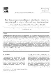 Leaf litter decomposition and nutrient mineralization patterns in ...