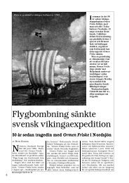 Flygbombning sänkte svensk vikingaexpedition