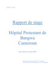 Rapport de stage Hôpital Protestant de Bangwa Cameroun