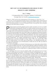 het lot van de ridderzwamfamilie in het moleculaire tijdperk