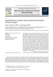 Quantifying the material and structural determinants of bone strength