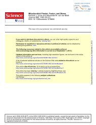 Mitochondrial Fission, Fusion, and Stress