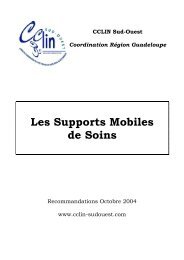 Les supports mobiles de soins. CCLIN Sud-Ouest. 2004 ... - NosoBase