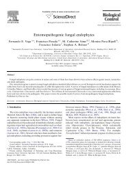 Entomopathogenic fungal endophytes - International Coffee ...