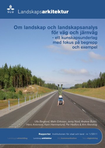 Landskapsarkitektur Om landskap och landskapsanalys för ... - SLU