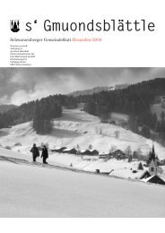 Dezember 08 - Aktuelles - Schwarzenberg