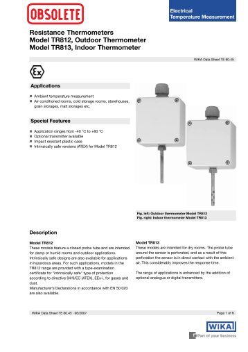 Resistance Thermometers Model TR812, Outdoor Thermometer ...