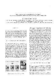 THE TRIESTE SOLAR RADIO SYSTEM - ESA Space Weather Web ...