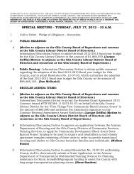 Download PDF Packet - Gila County