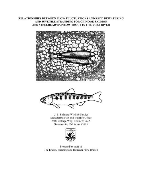 Relationships Between Flow Fluctuations And Redd Dewatering And