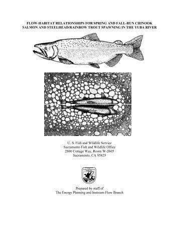 Yuba River Spawning - U.S. Fish and Wildlife Service
